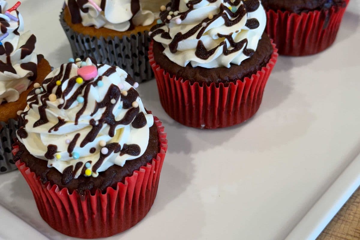 Chocolate Sprinkle Cupcake