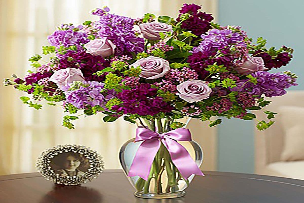 Lavender Dreams