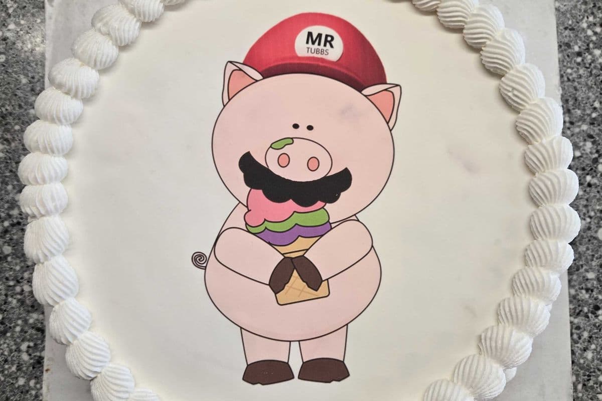 Chocolate/Vanilla SMALL cake