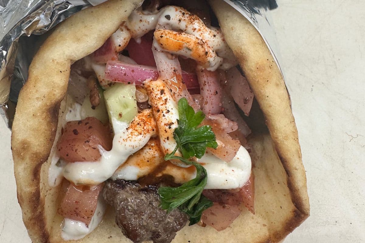 Kabab wrap