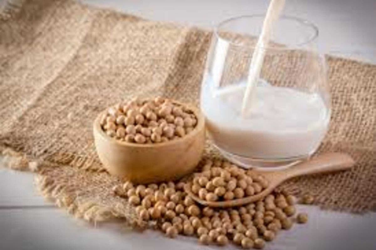 Iced Soy Milk / 鮮豆漿