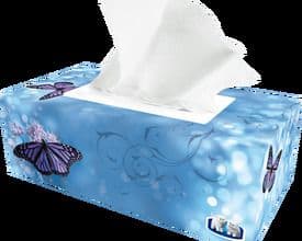 Kirkland Facial Tissue (160 pcs)