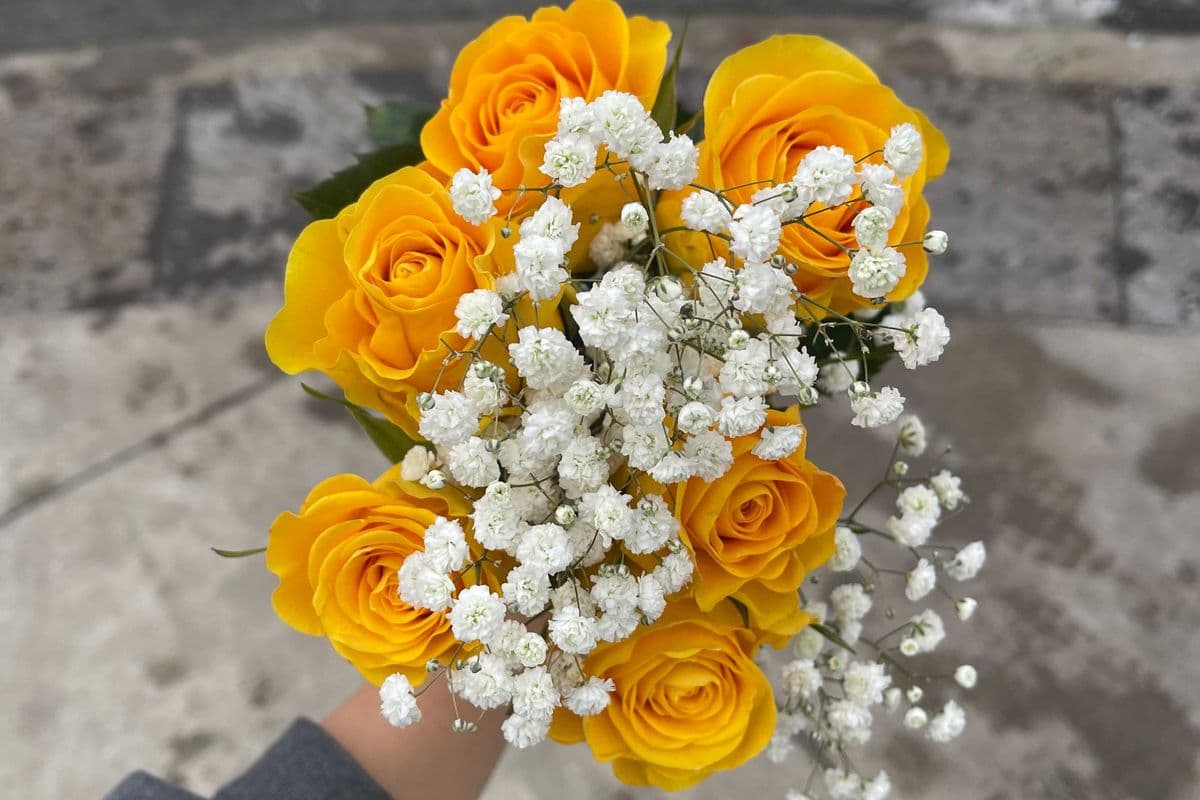 Yellow Roses - 6 Stems
