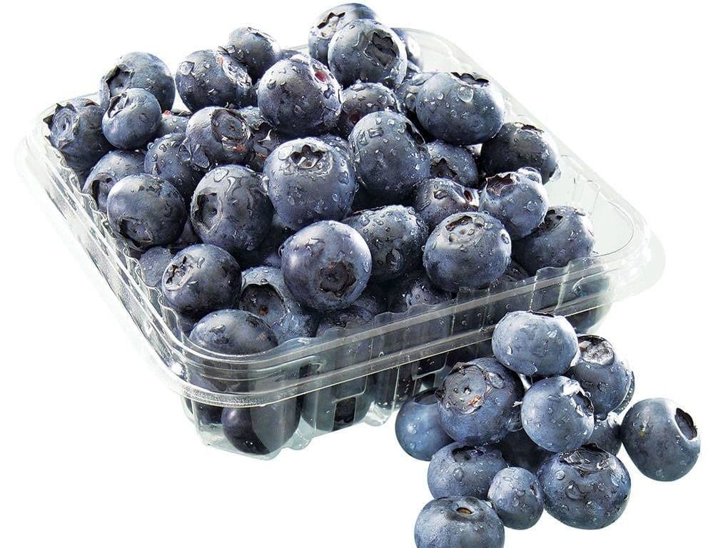 ORGANIC BLUEBERRIES 6OZ