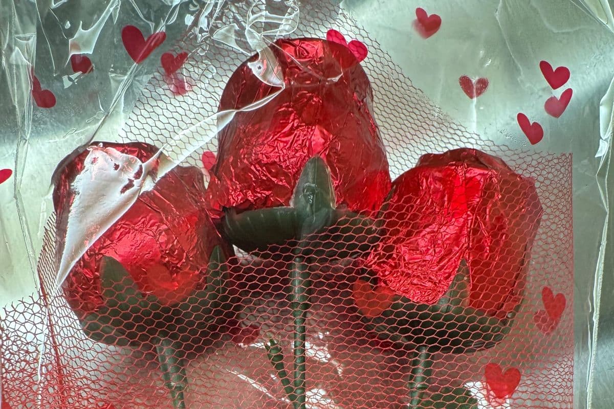 Rose With Chocolate