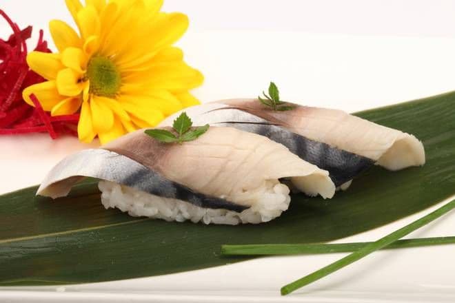 Mackerel