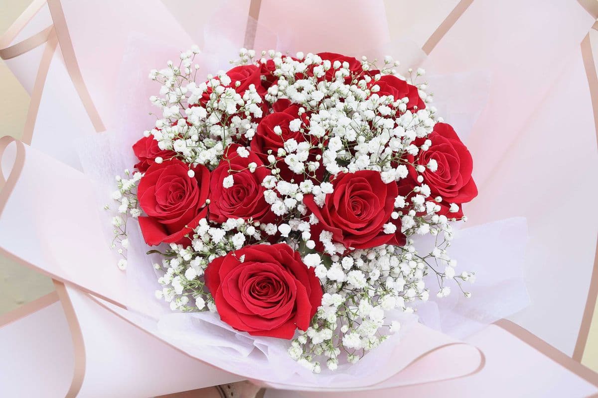 R2. The Classics (12 Red Roses and Baby's Breath)