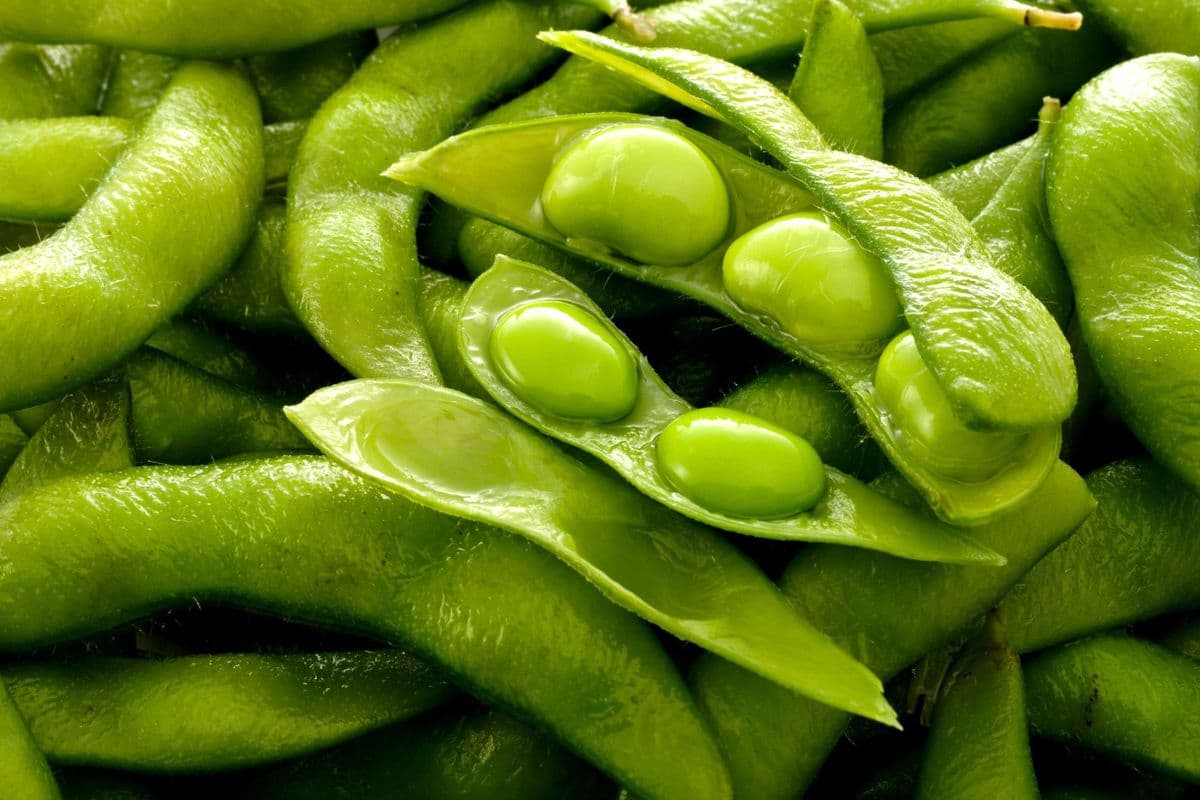 21. Edamame