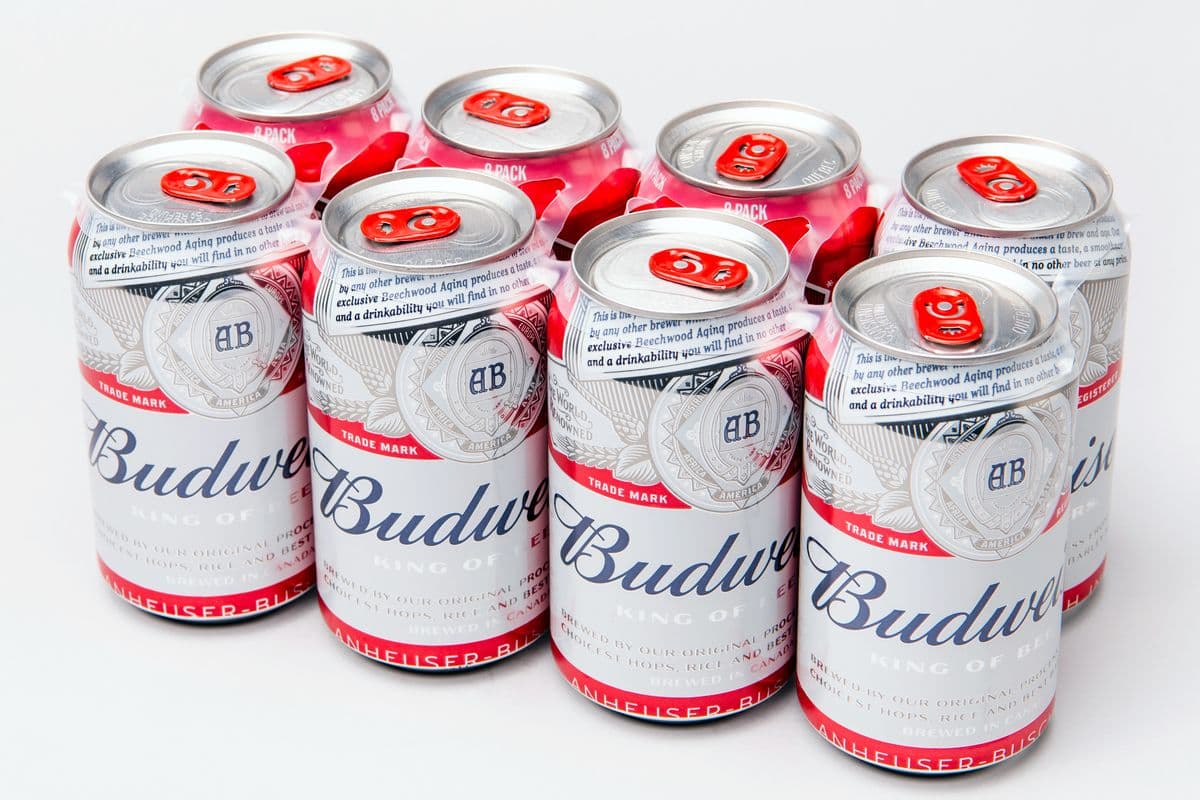 Budweiser (8 Pack) (1 x 355ml)