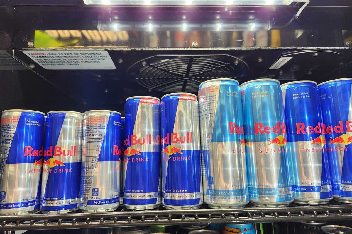 Red Bull sans sucre (473 ml) / Sugar Free Red Bull (473 ml)