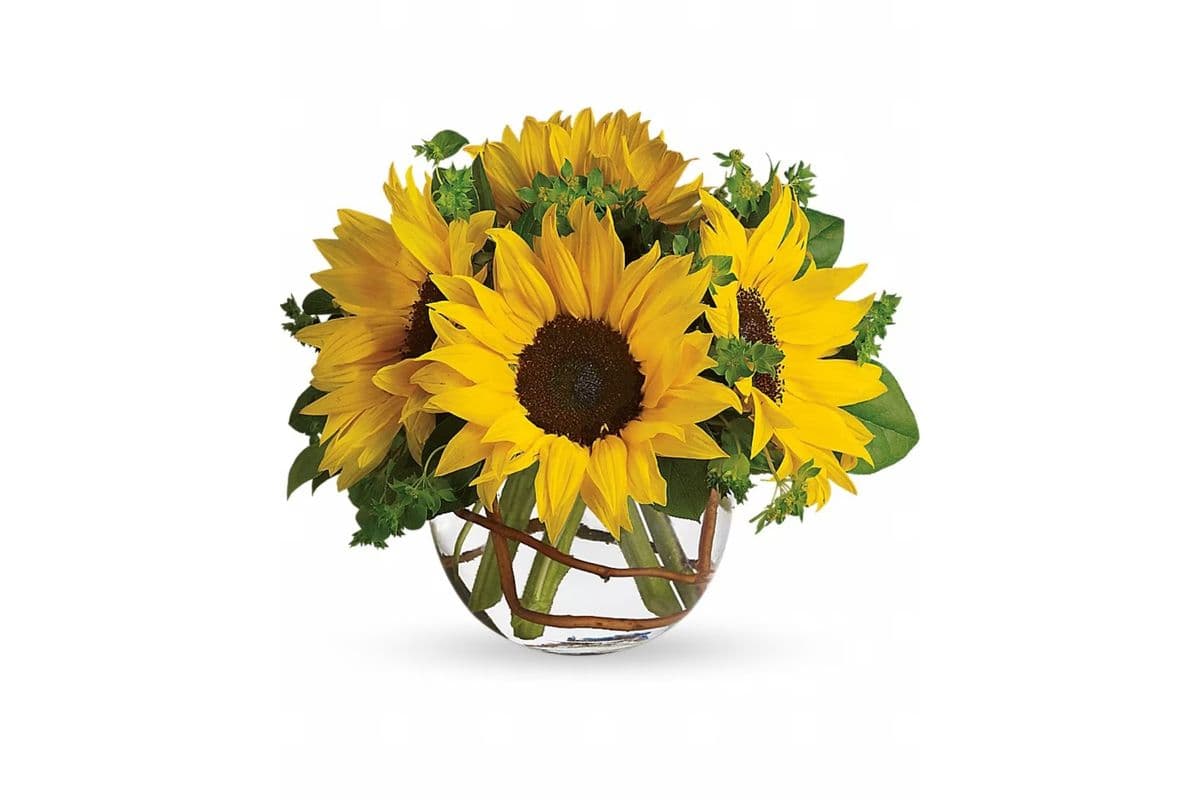 Sunny Sunflowers