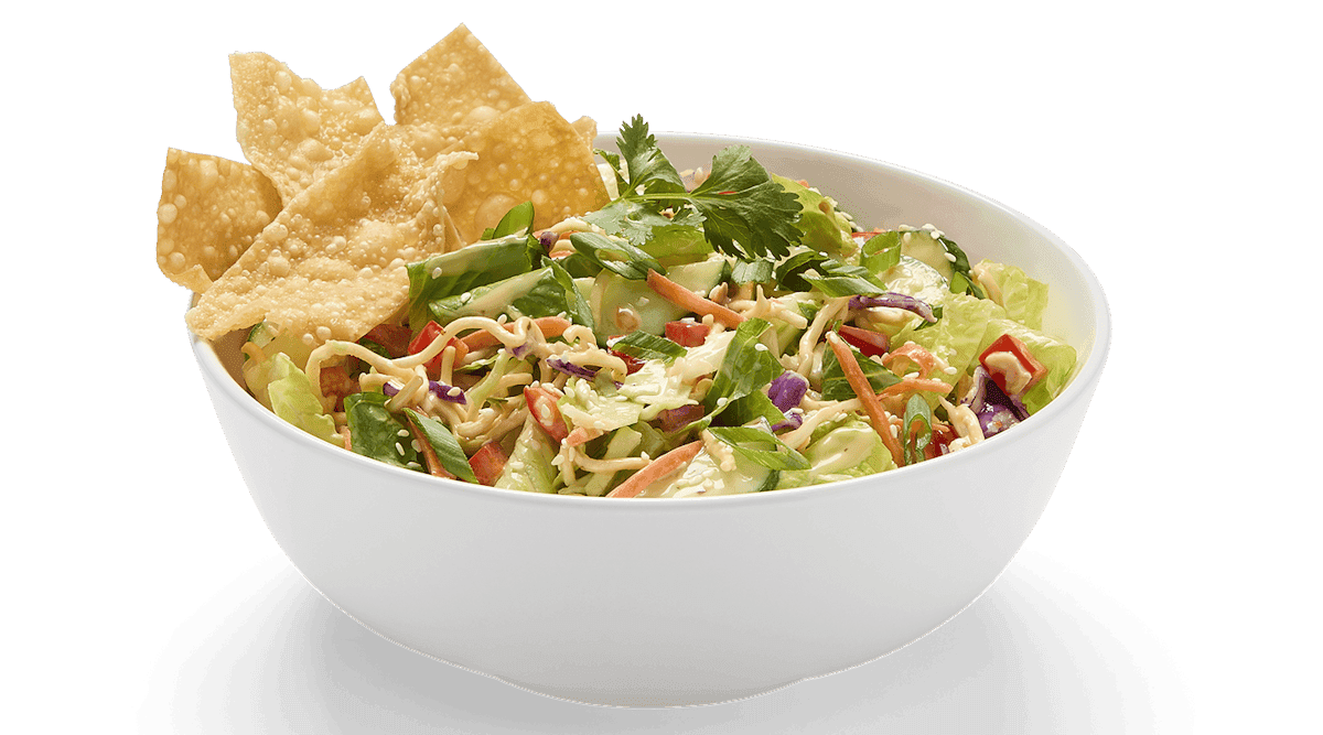 Crunchy Asian Wonton Salad