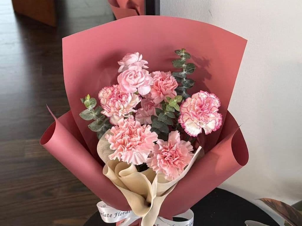 MOTHER'S DAY CARNATION BOUQUET SMALL #4