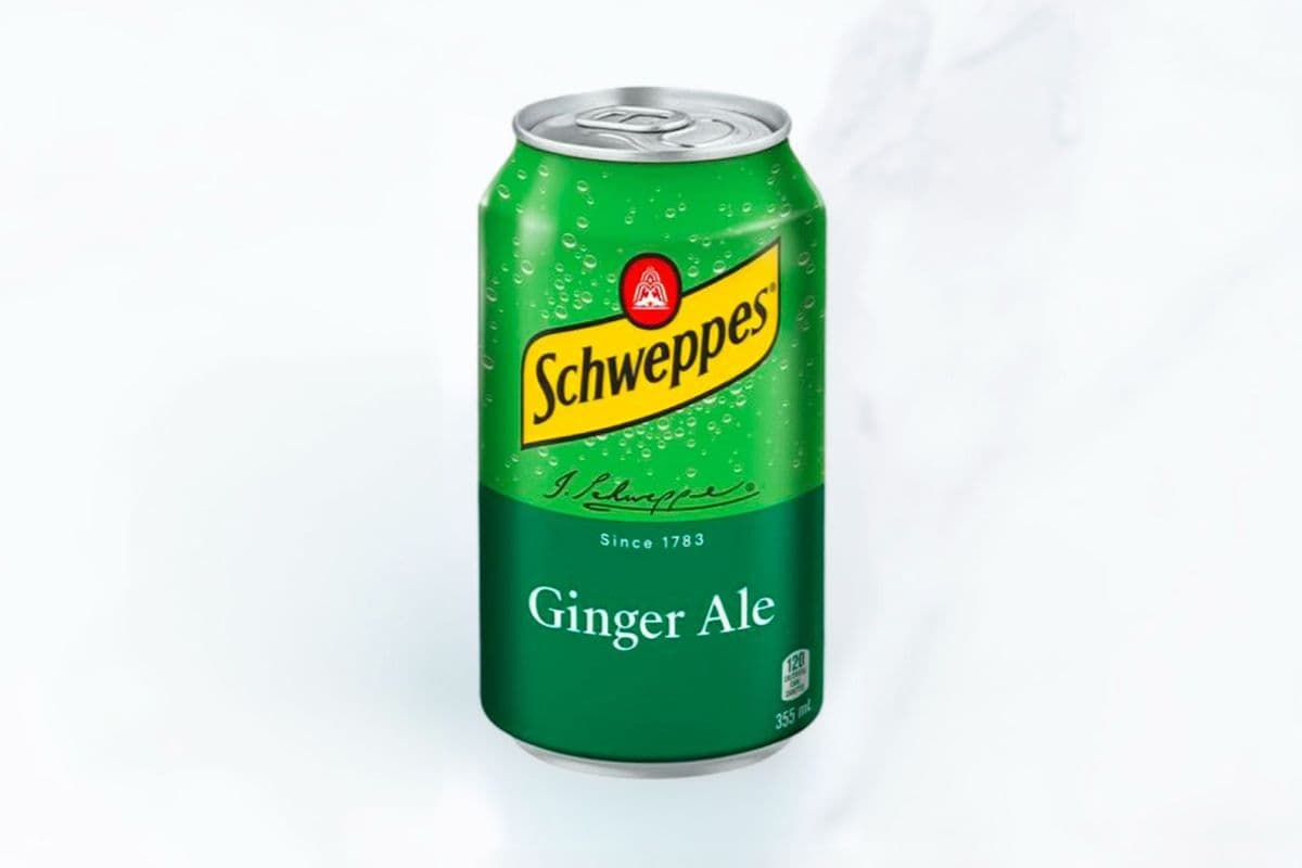 Can Ginger Ale 355ml