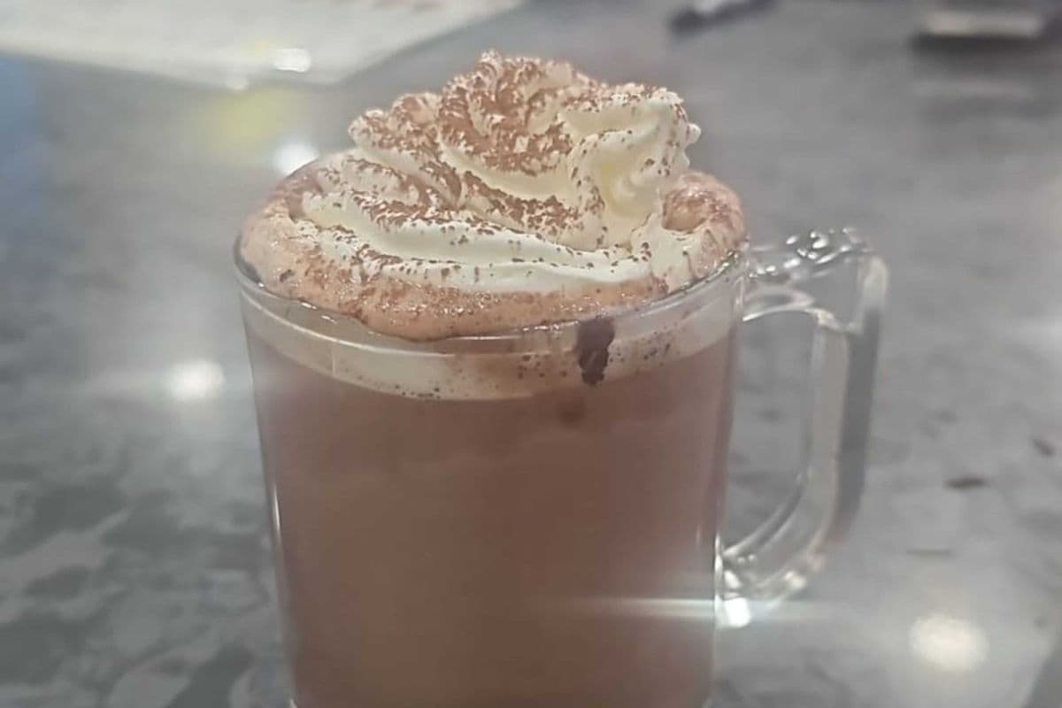 Hot Chocolate (14 oz)
