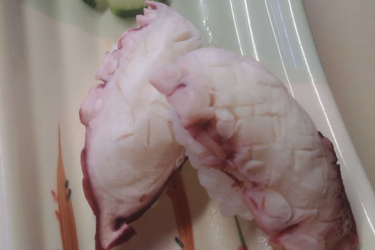 #13. Tako