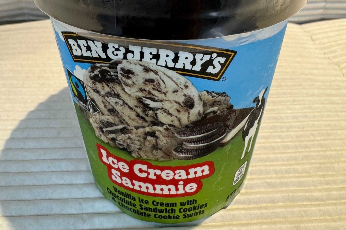 Ben & Jerry's Ice Cream Sammie