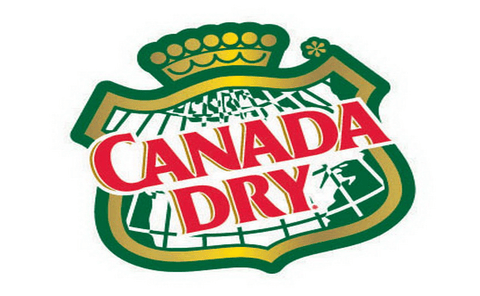 Ginger Ale (355ml)