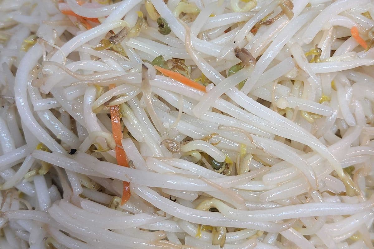 Bean Sprouts