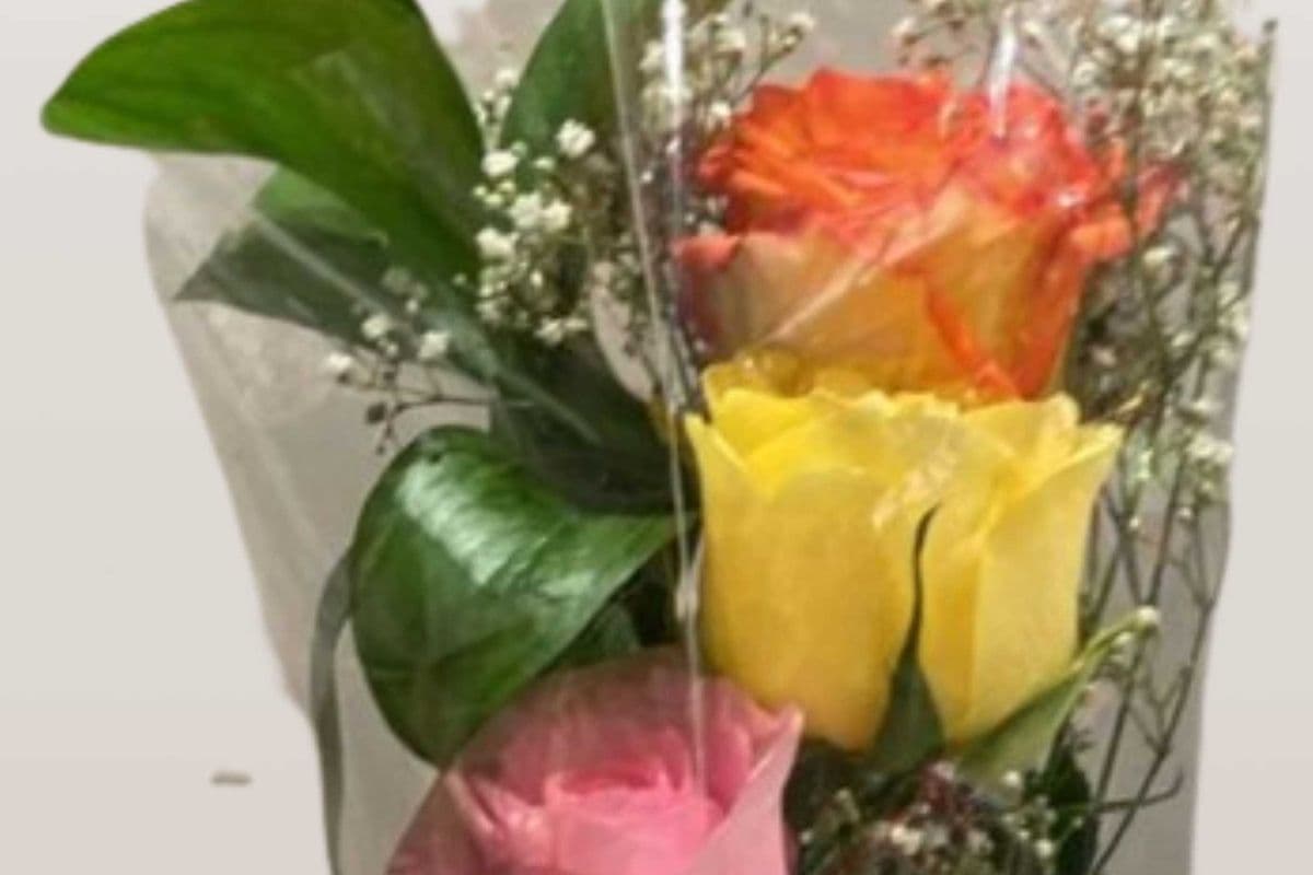 3 color Roses with Baby Breath (stems 50 cms)
