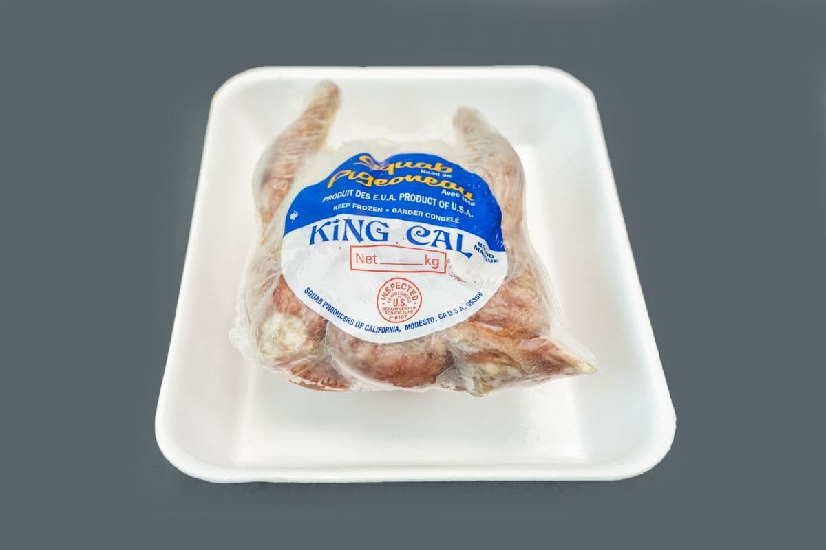 Pigeons (1 pc)