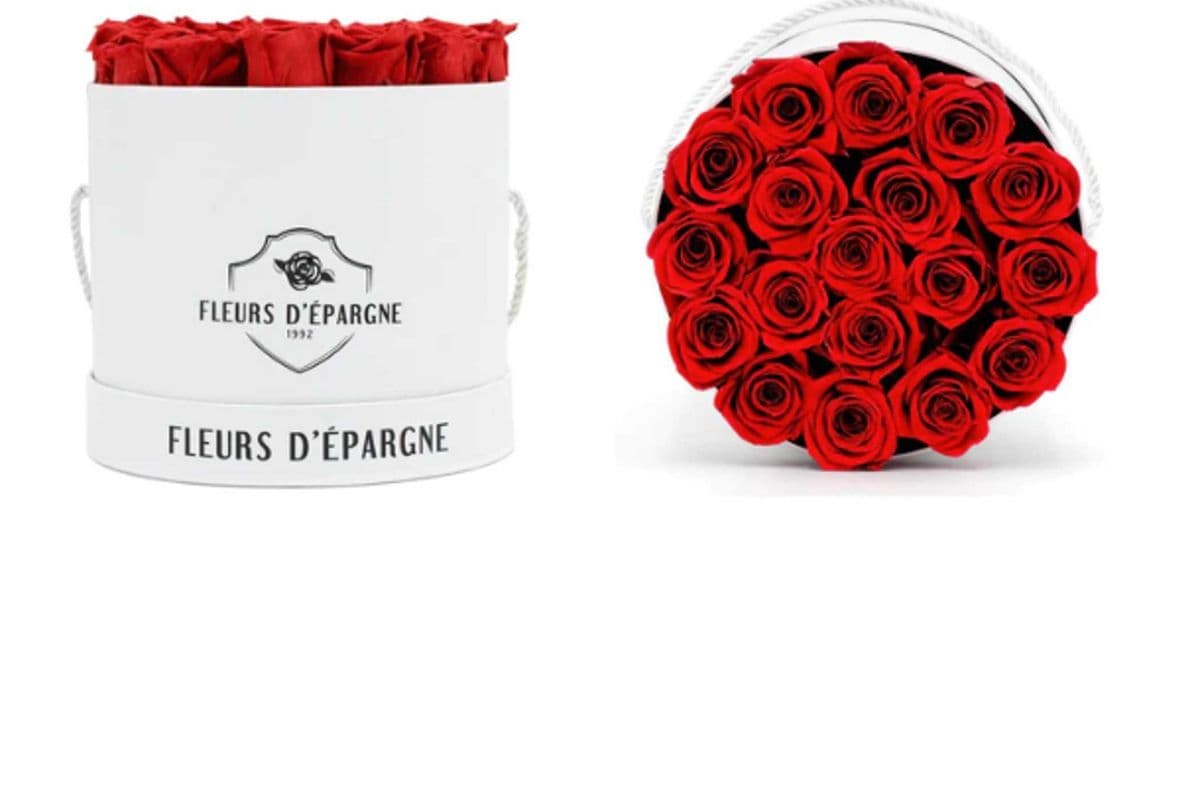Elegance in Prestige Rose Bucket