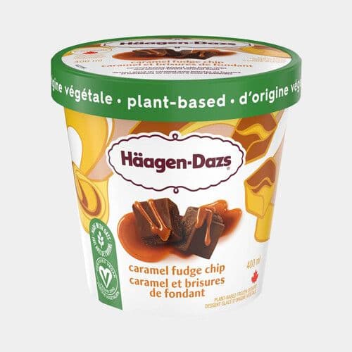 Häagen-Dazs Caramel et brisures de fondant (450mL) / Häagen-Dazs Caramel Fudge Chip (450mL)