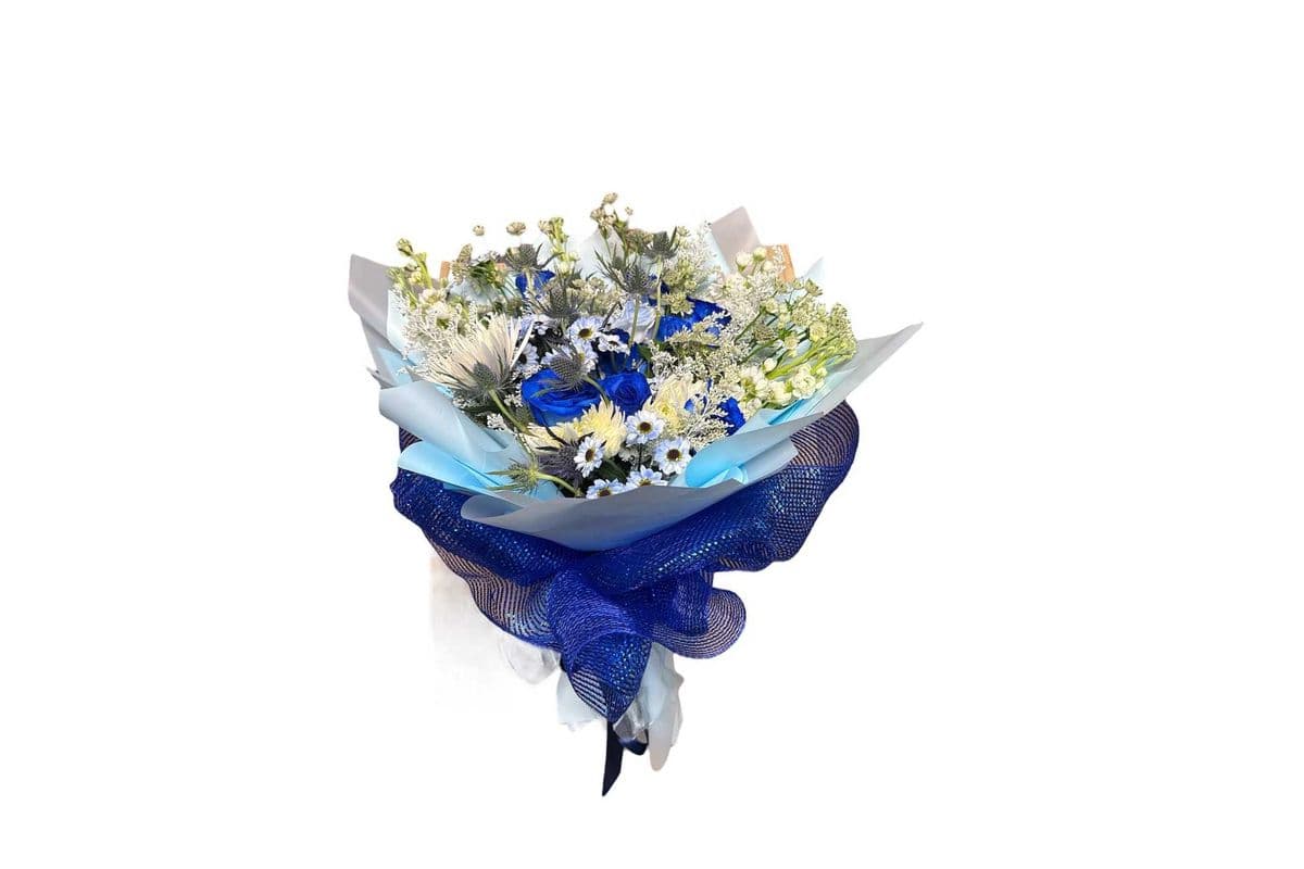 Lovely in Blue 1234