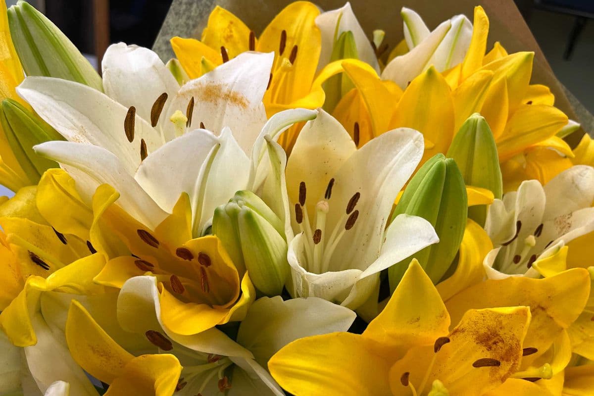 lily bouquet small