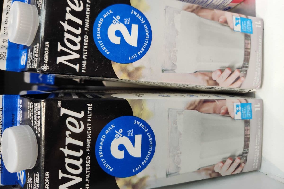 Lait Natrel (1 L) / Natrel Milk (1 L)