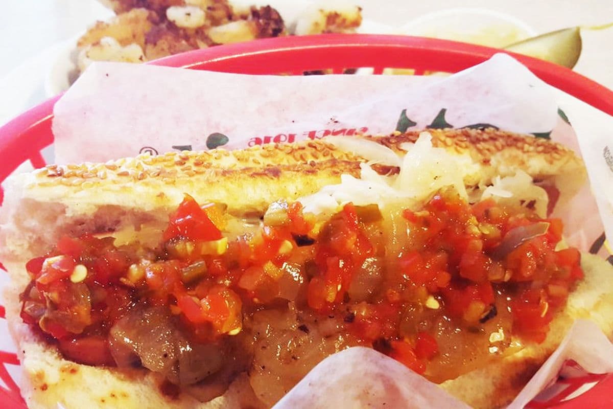 Hali Dog