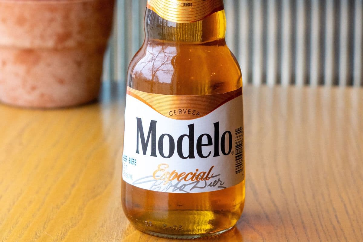Modelo Especial (1 x 355ml)