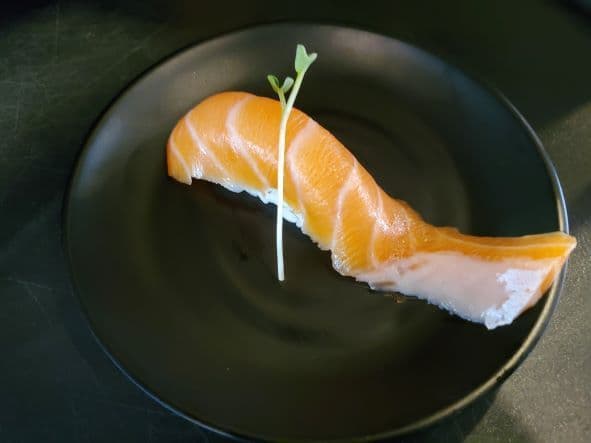 Salmon