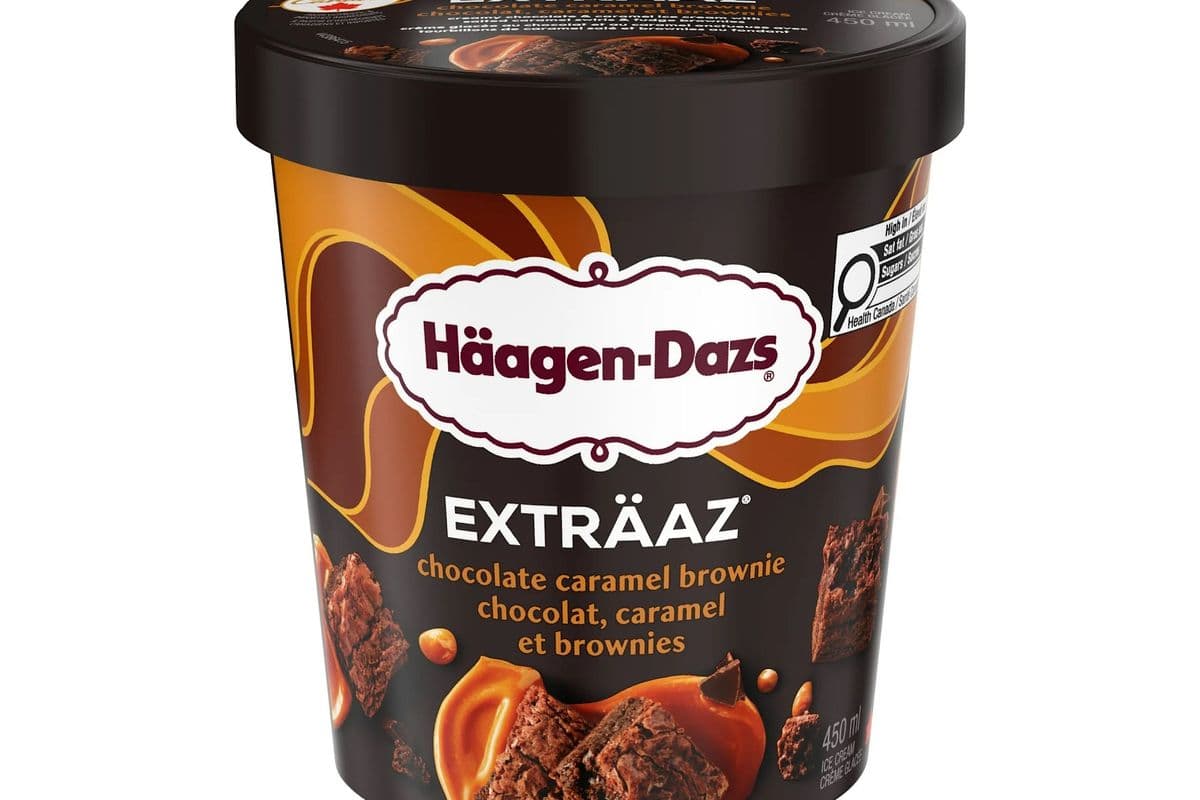 Häagens Dazs (Pot / Jar) - Chocolat, Caramel et Brownie / Chocolate Caramel Brownie (450 ml)