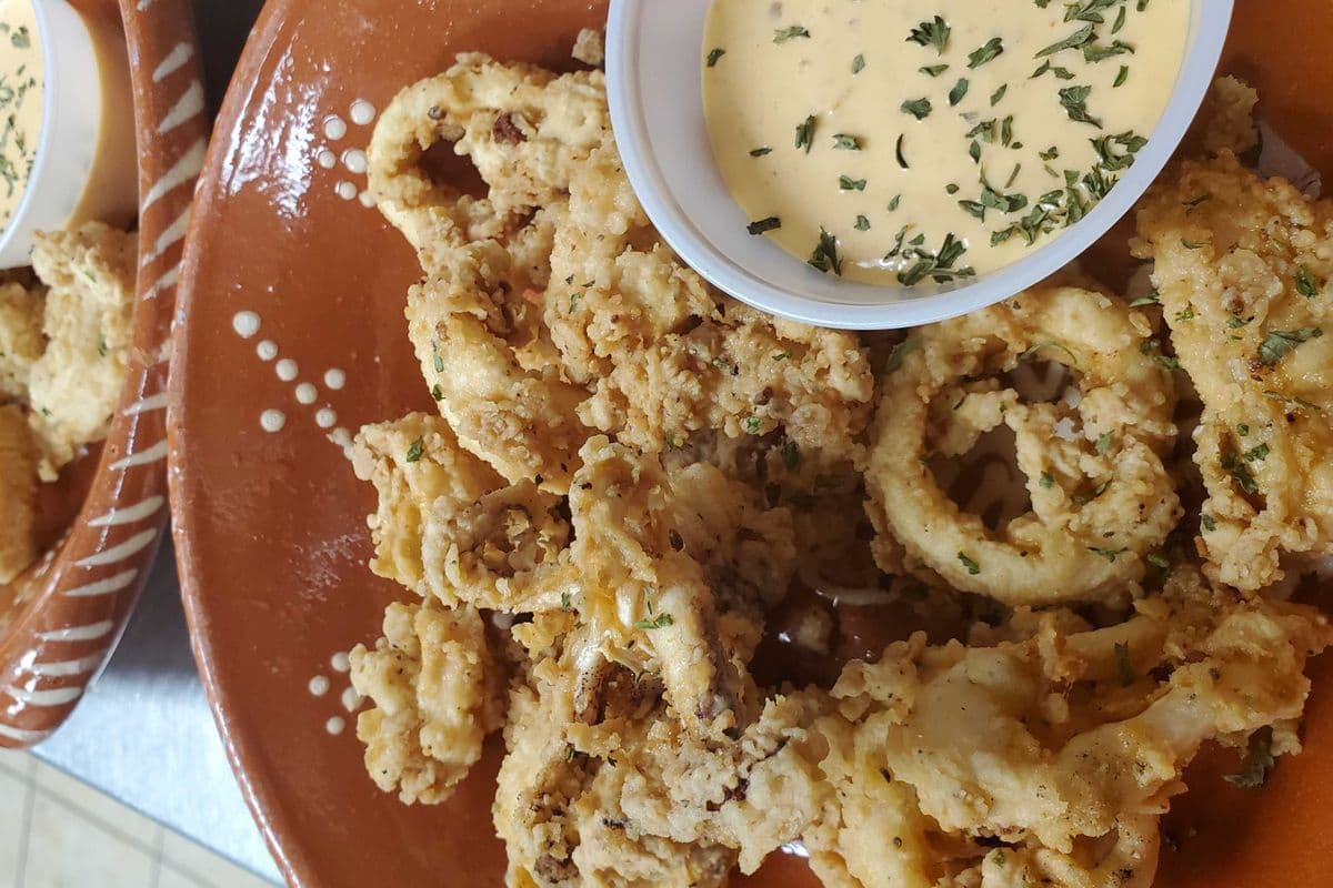 Fried Calamri