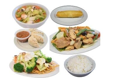 Combo végétarien / Vegetarian Combo