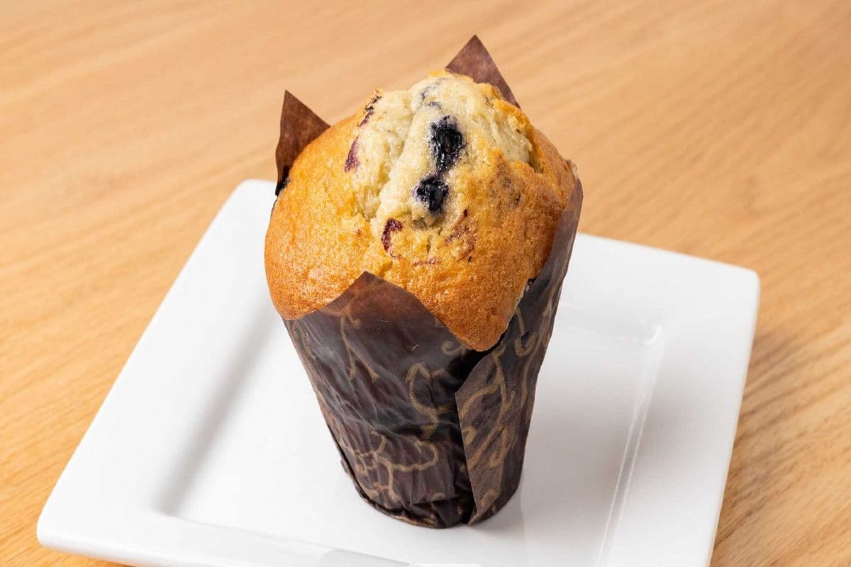 Blueberry Muffin