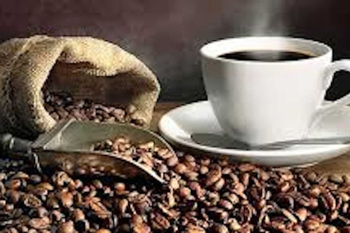 Premium Fresh Brewed Coffee