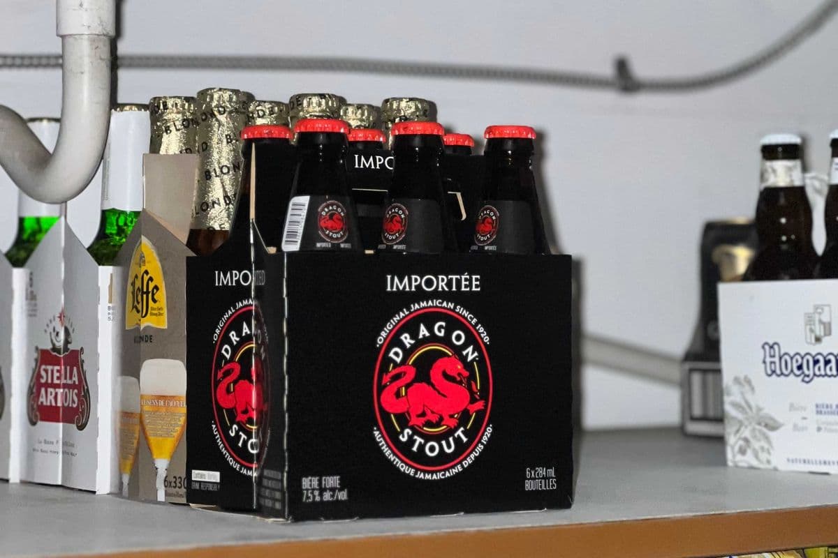 Dragon Stout (6 Pack) (1 x 6PK)