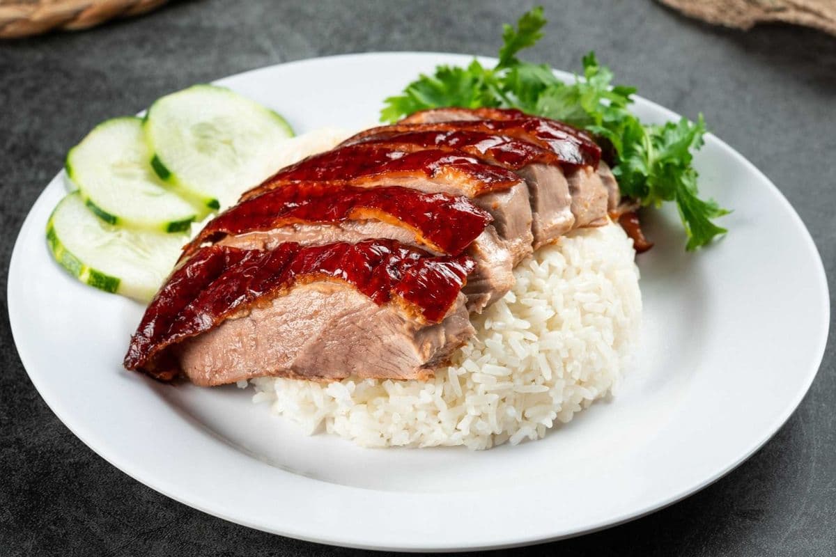 Roast Duck w/ Plum Sauce on Rice 港式烧鸭饭