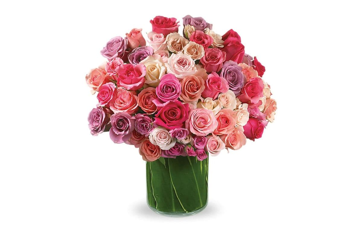 Rose Rapture