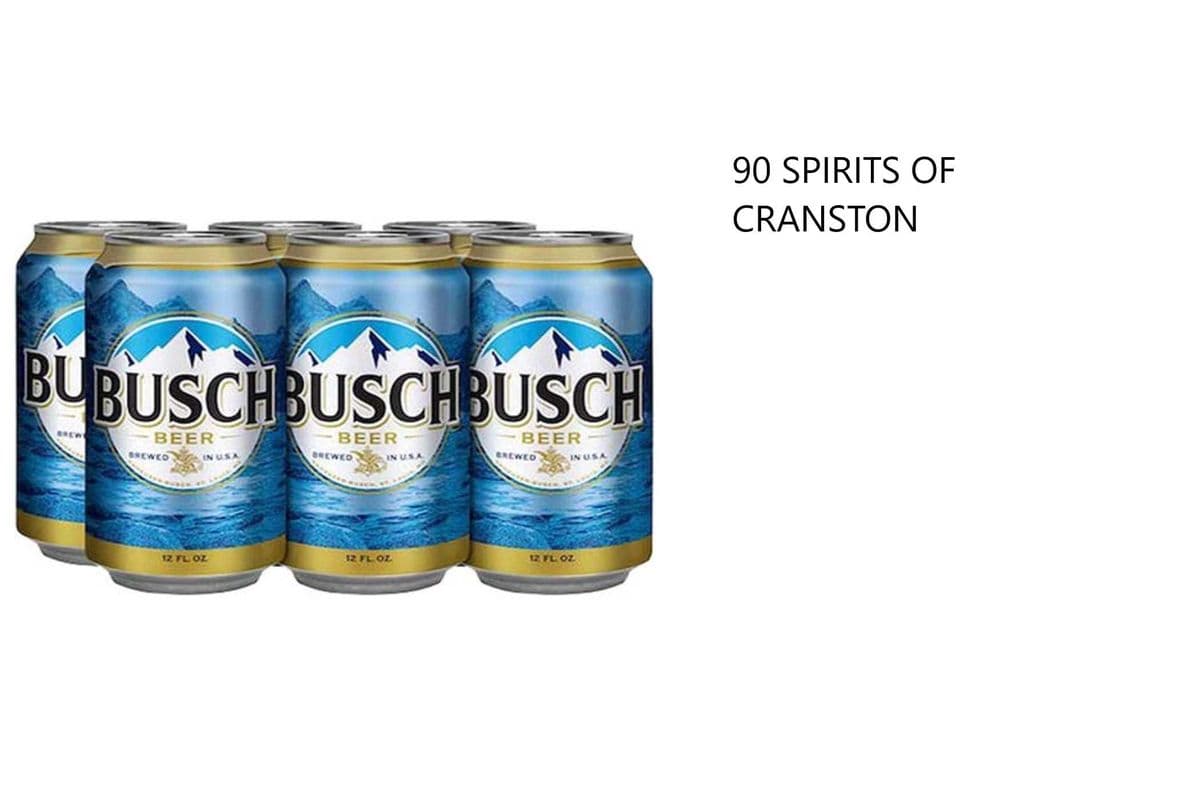 BUSCH 6 CANS (1 x 6x355ML)