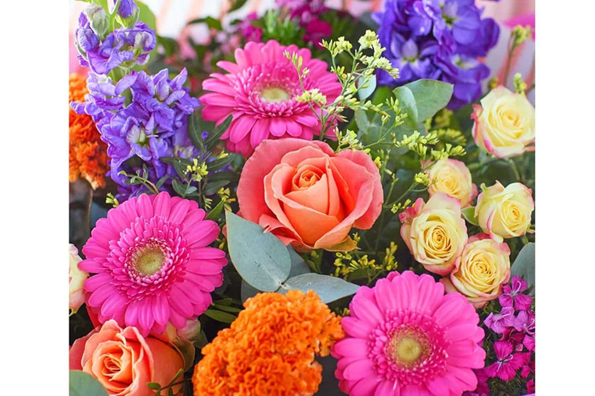 Seasonal Flower Bouquet - Colorful