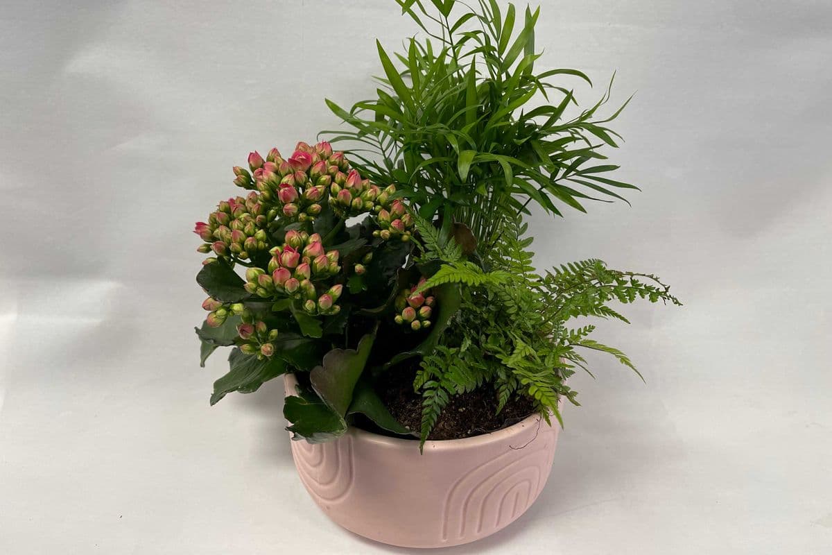Mixed Planter