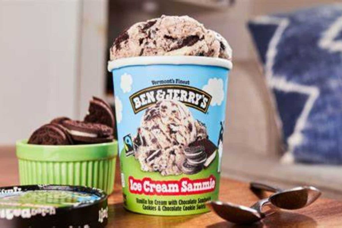 BEN AND JERRY (473 ML)