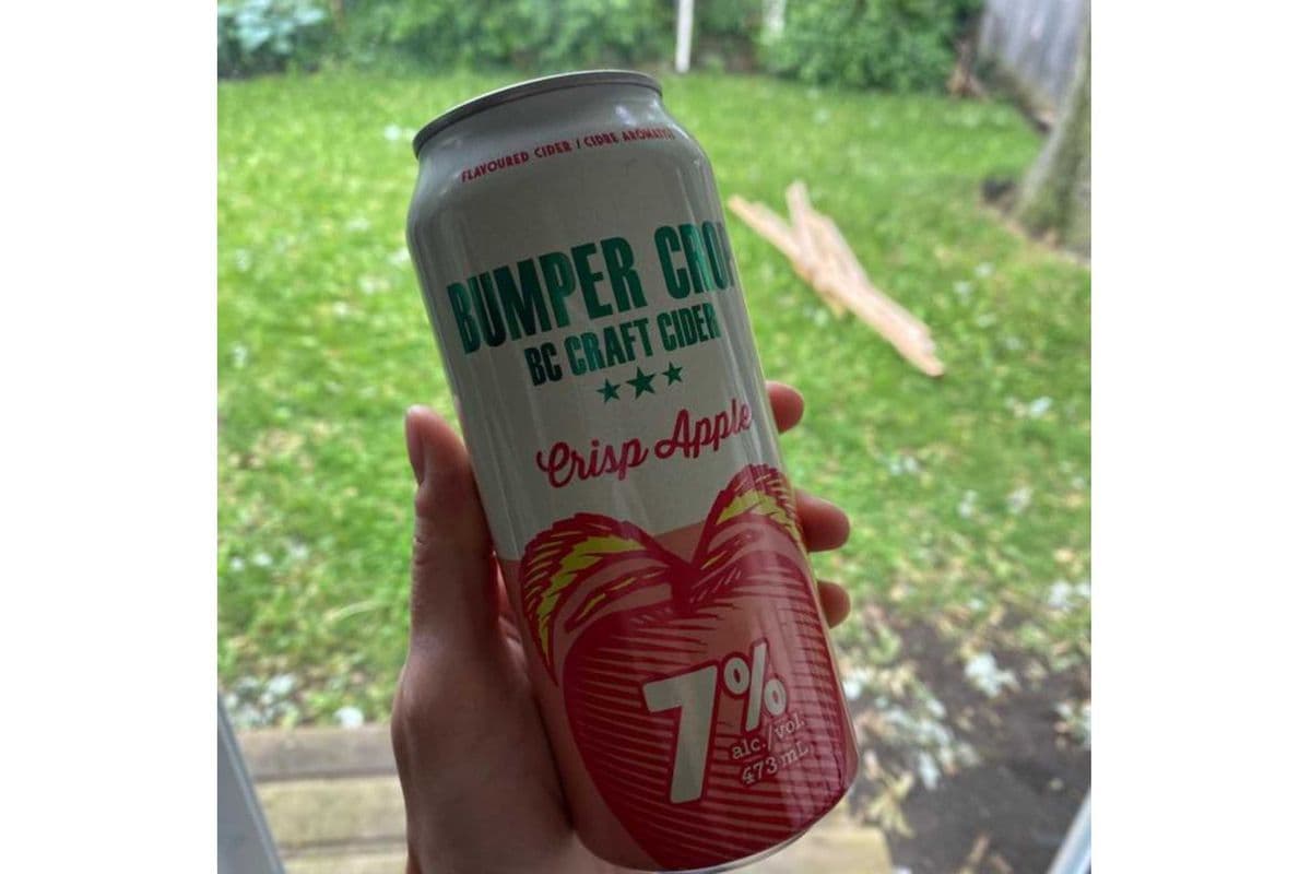 BUMPER CROP CRISP APPLE TALL CAN (1 x 473ml)