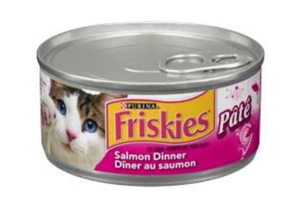 Friskies - Pâté, Dîner au Saumon / Wet, Salmon Dinner (156 g)