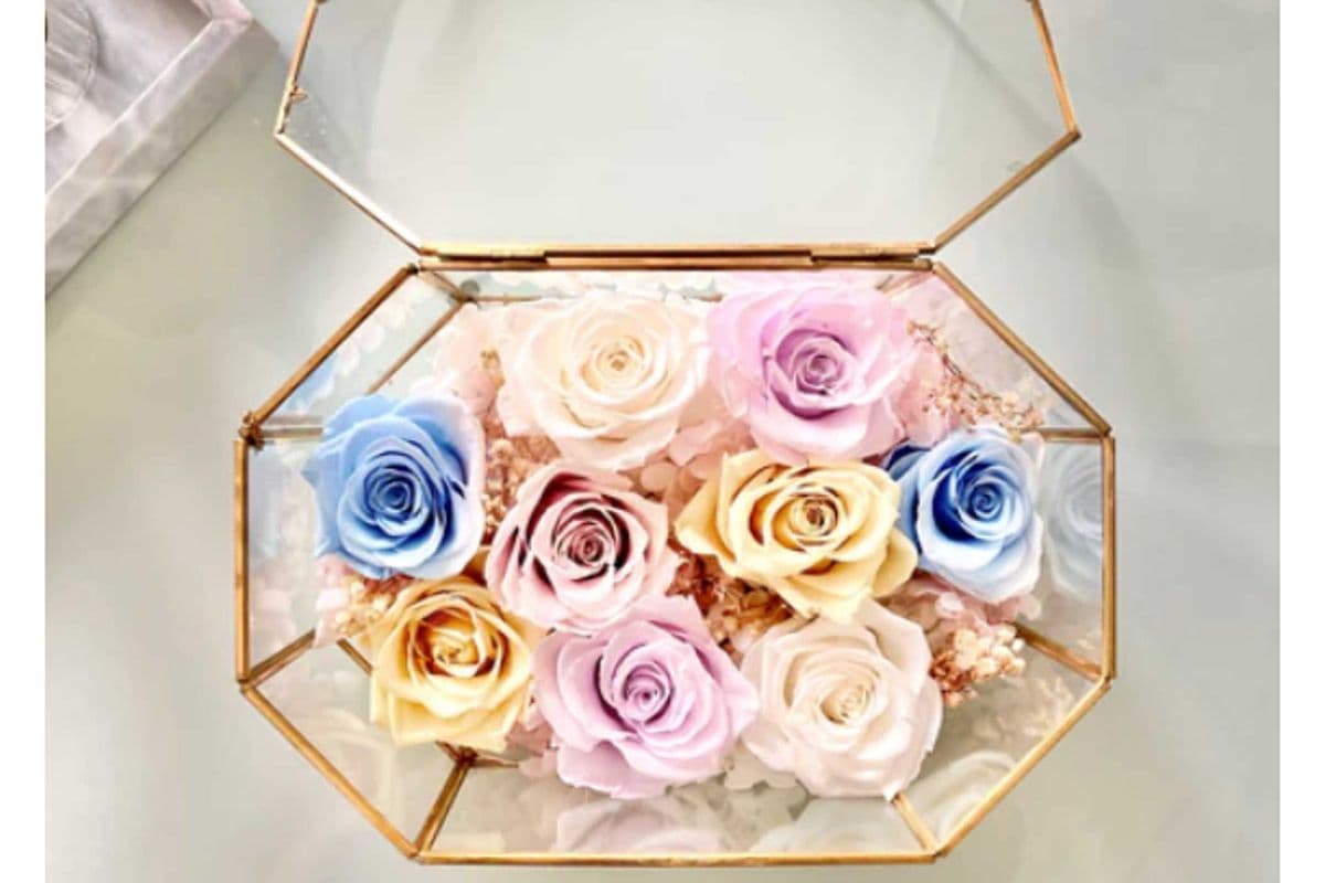 Fairytale Oval Hexagon Terrarium