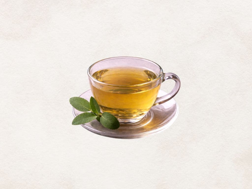 Palestinian Sage Tea (Steeped)