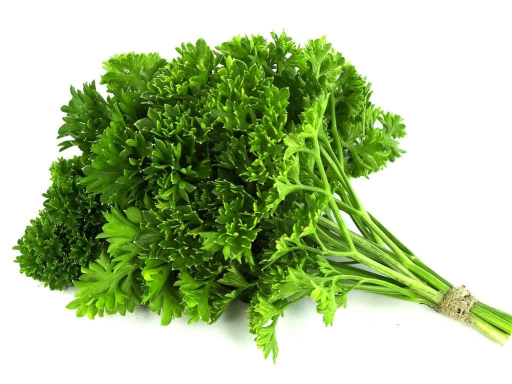 Parsley (Bunch)